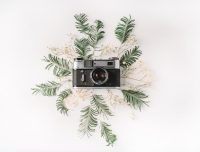 文章中插入卡片