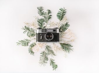 文章中插入卡片