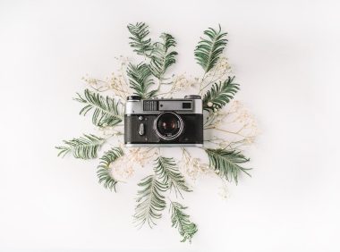 文章中插入卡片