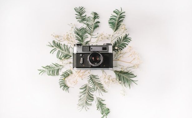 文章中插入卡片