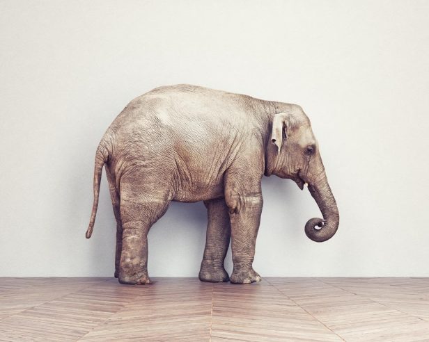 文章样式五：视频列表