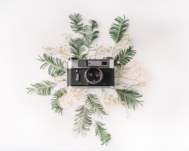 文章中插入卡片